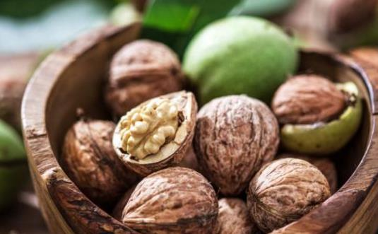 為什么核桃被稱為“長壽果”？東莞生鮮食材配送中心告訴你